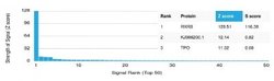RXR beta/NR2B2 Antibody (PCRP-RXRB-2B6) - Azide and BSA Free, Novus Biologicals